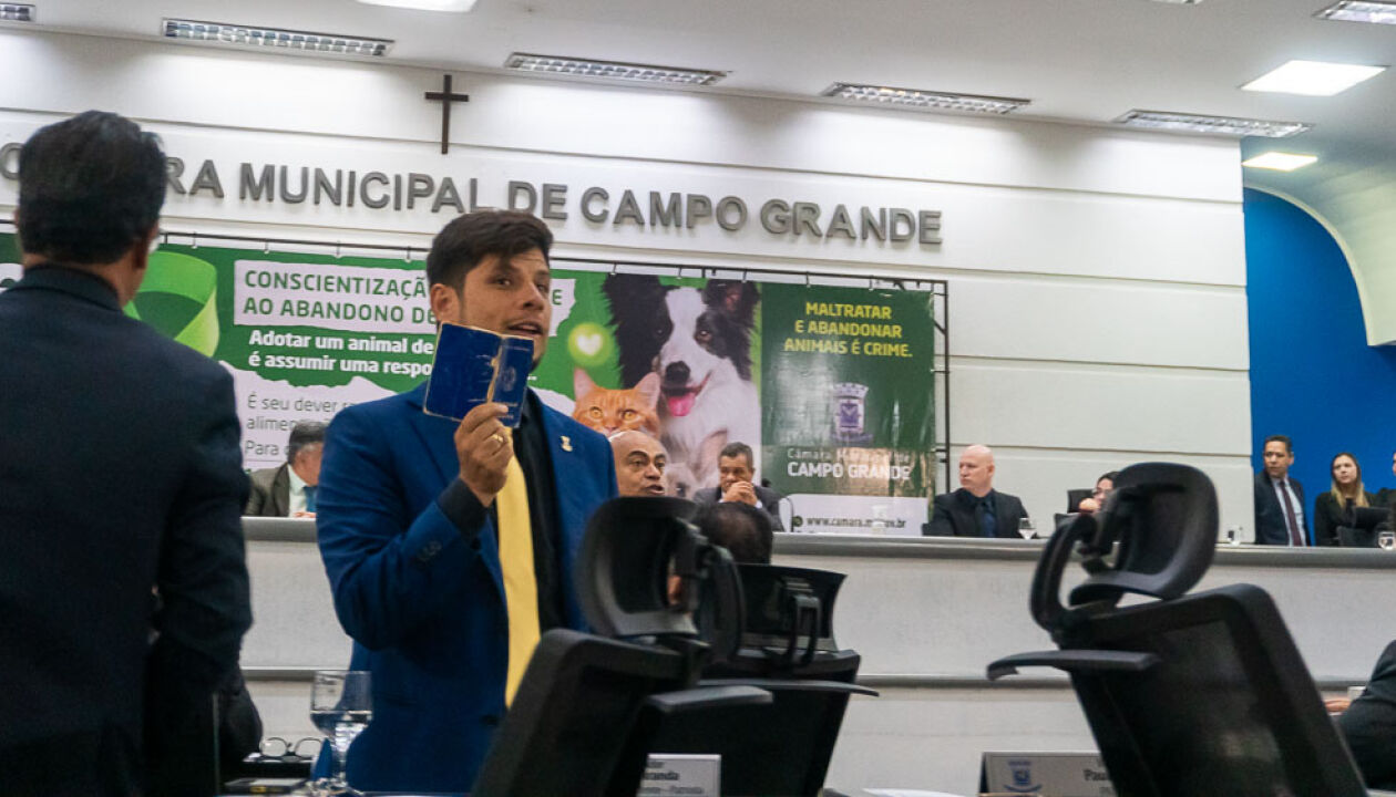 Imagem principal