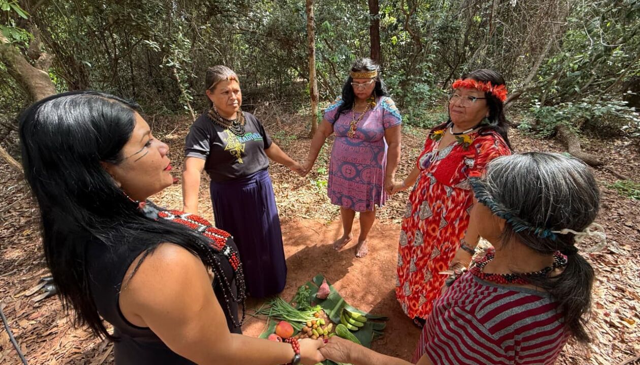 Imagem principal