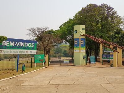 Imagem principal