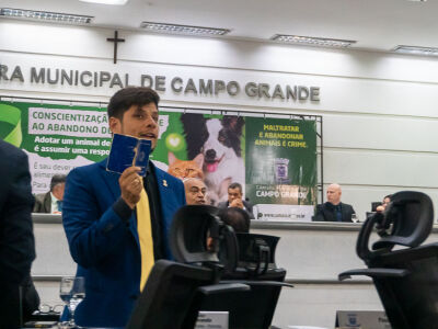 Imagem principal