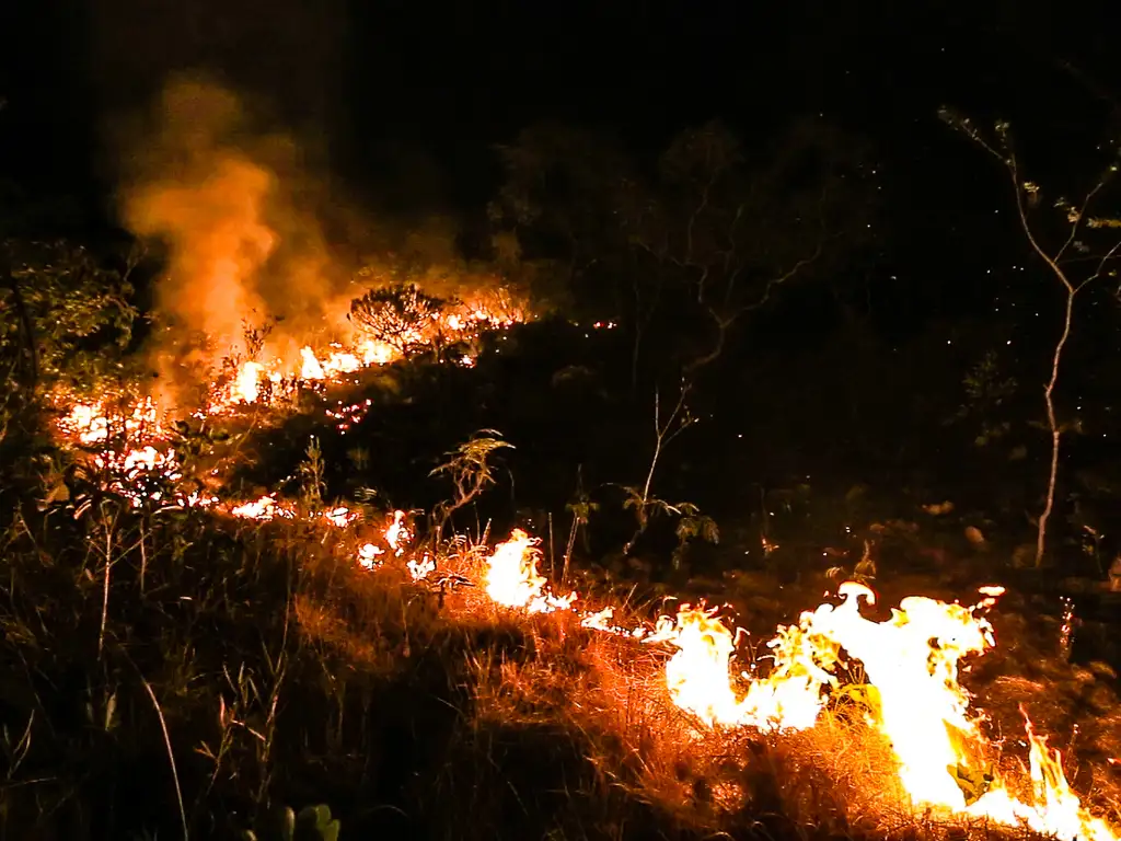 Alto Paraíso de Goiás (GO) - Voluntários e brigadistas combatem fogo na Chapada dos Veadeiros (Rogério Verçoza/TV Brasil)