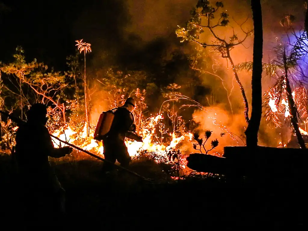 Alto Paraíso de Goiás (GO) - Voluntários e brigadistas combatem fogo na Chapada dos Veadeiros (Rogério Verçoza/TV Brasil)