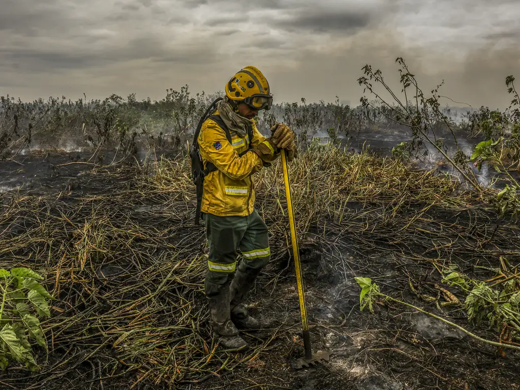 Corumbá (MS), 29/06/2024 - Com o auxílio de aviões, brigadistas do Prevfogo/Ibama combatem incêndios florestais no Pantanal. Foto: Marcelo Camargo/Agência Brasil