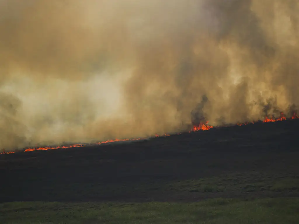 Porto Jofre (MT) 17/11/2023  Cortina de fumaça profocada pelo incêndio florestal que atige o Pantanal. Foto: Joédson Alves/Agência Brasil