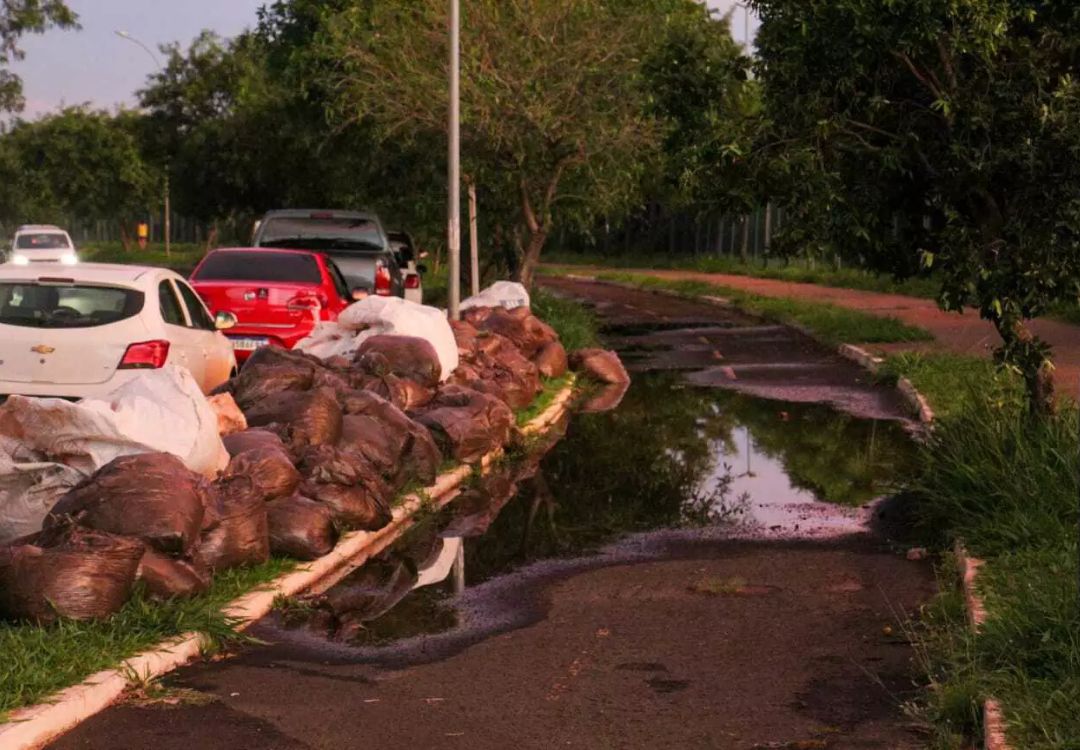 Lixo no gramado do parque que se manteve por dias. 