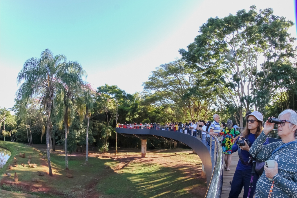 Antes da cerimônia de premiação ocorreu uma Passarinhada na área externa do Bioparque Pantanal. Foto: Tero Queiroz