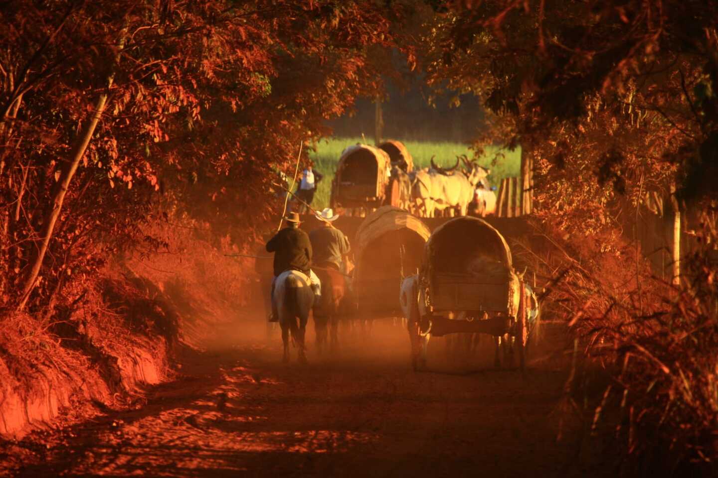 Foto: Lázaro Neves.