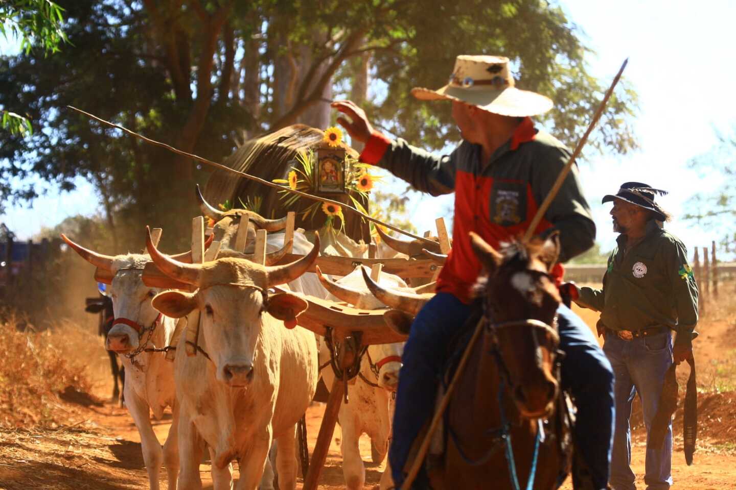 Foto: Lázaro Neves.