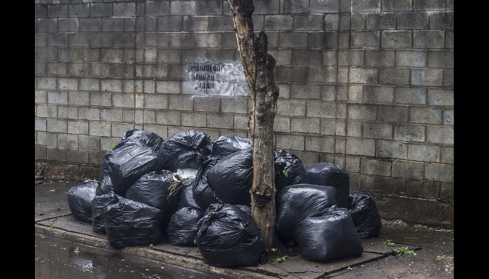 Foto: Carlos Marreta 