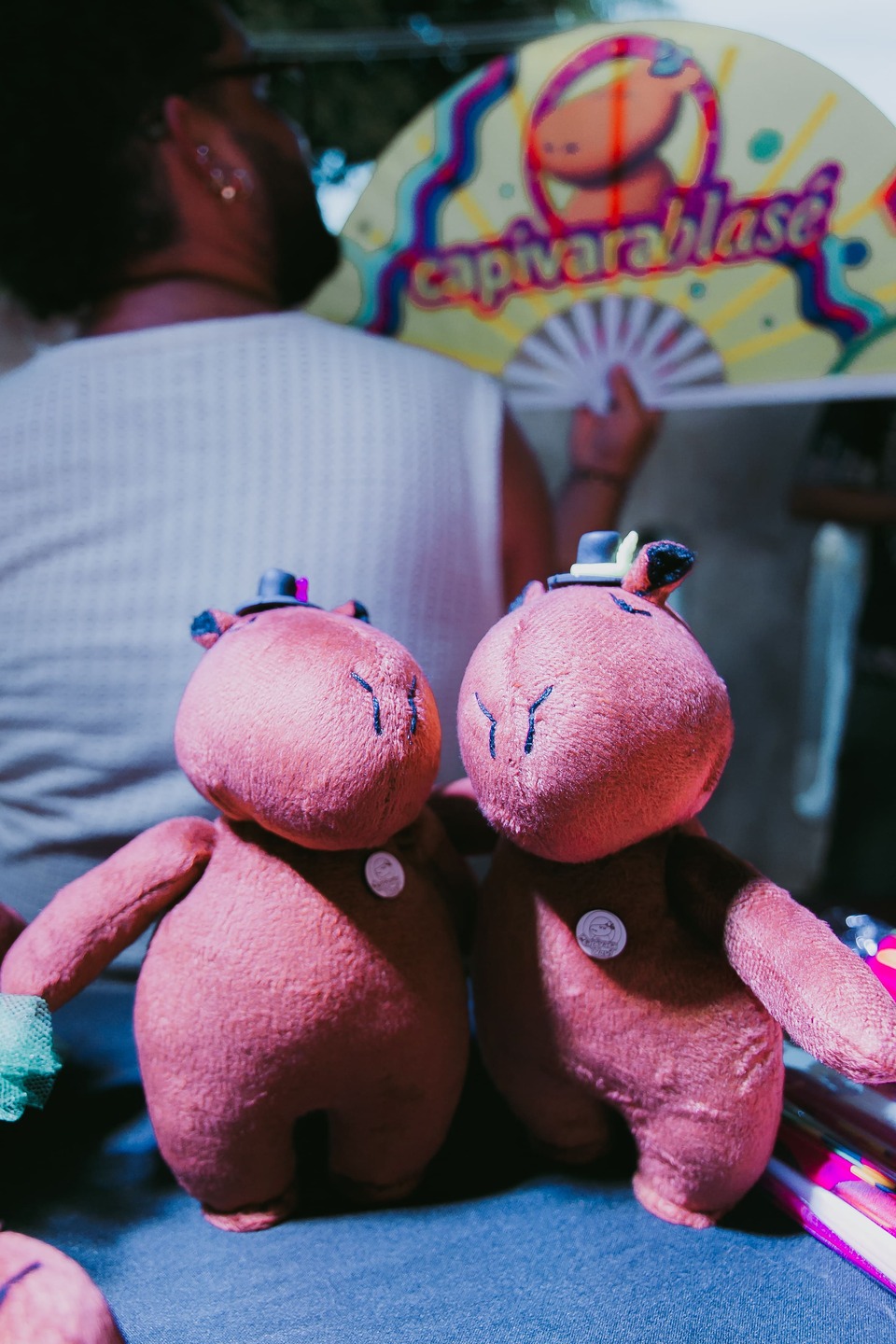 Pel&uacute;cia do Bloco de Carnaval Capivara Blas&eacute; | Foto: Divulga&ccedil;&atilde;o