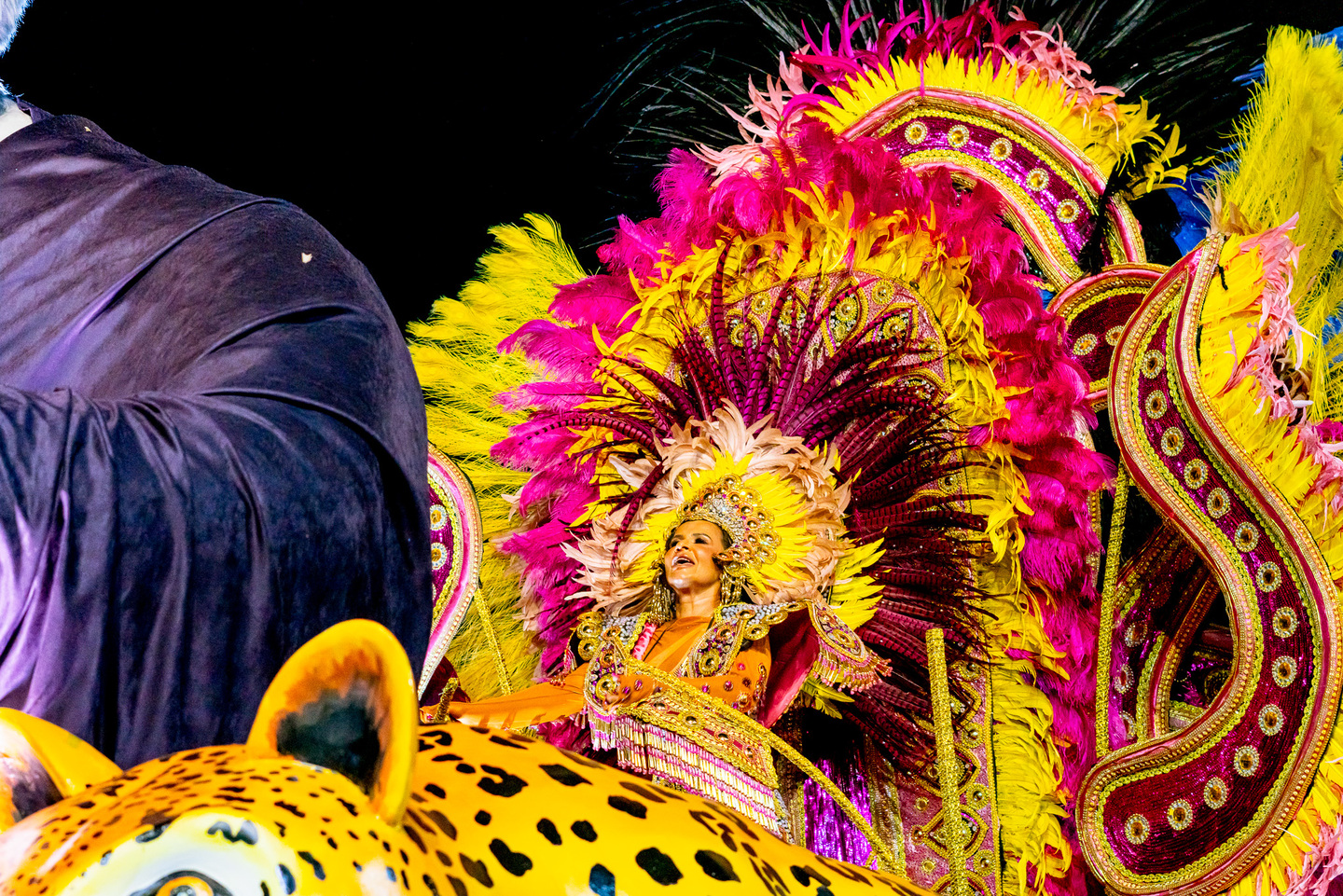 Carro aleg&oacute;rico da Vila Carvalho no Carnaval 2026. Foto: Tero Queiroz