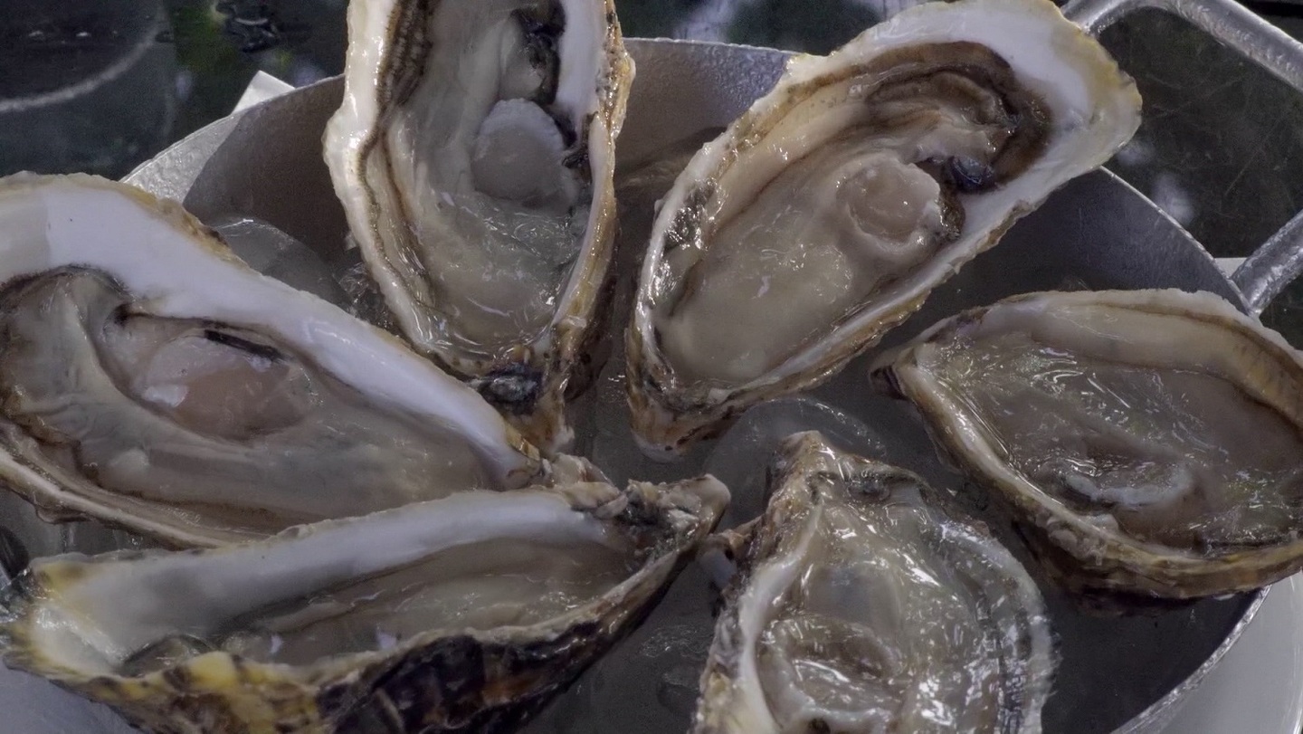 Prato com ostras | Foto: Divulgacao / TV Brasil