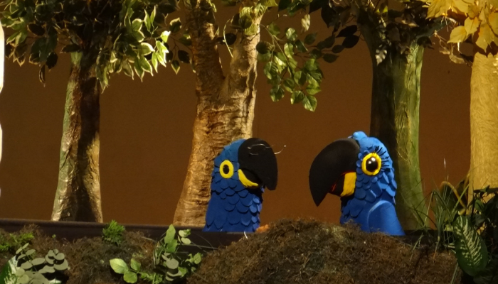 DONA ARARA | Foto: Divulga&ccedil;&atilde;o